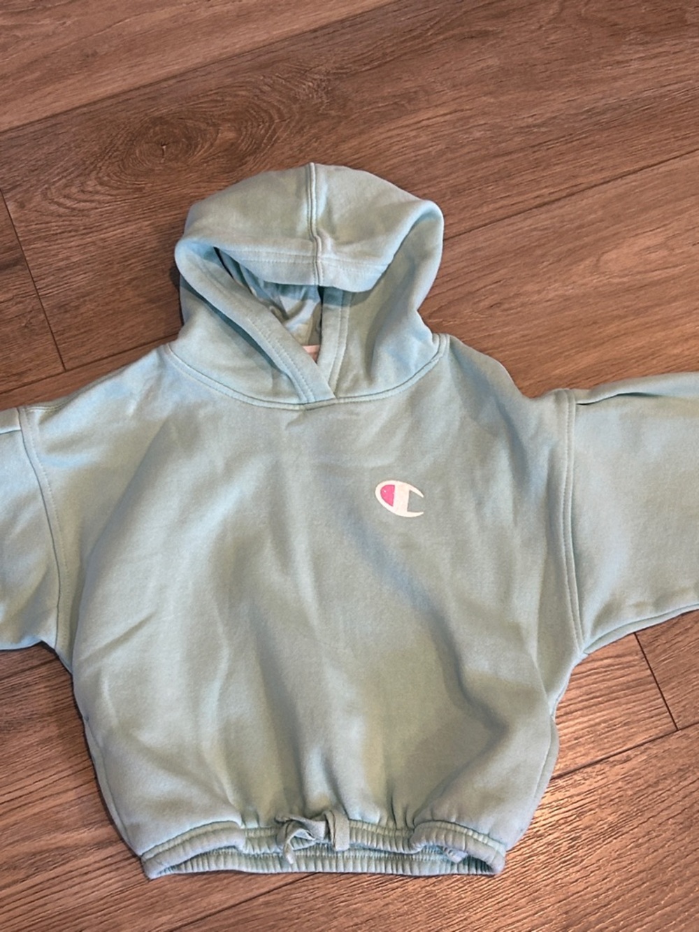 NWOT Champion Kids Light Mint Green Hoodie & Joggers Set Size 4T - Picture 4 of 5
